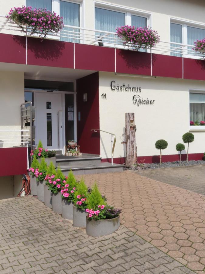 Gaestehaus Spieker Horn-Bad Meinberg Eksteriør bilde