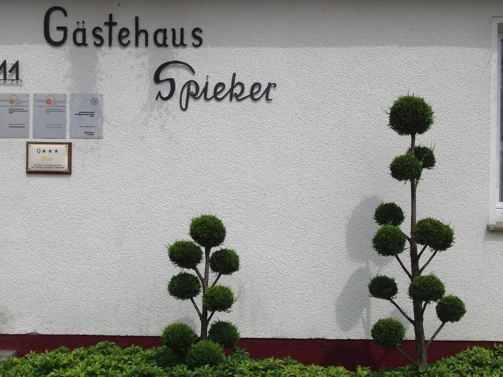 Gaestehaus Spieker Horn-Bad Meinberg Eksteriør bilde